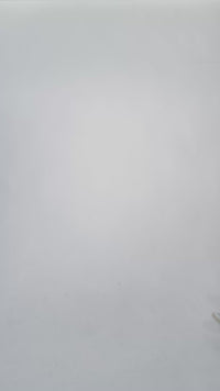 T-Shirt COLBY (New Genre) aus Bio-Baumwolle - White